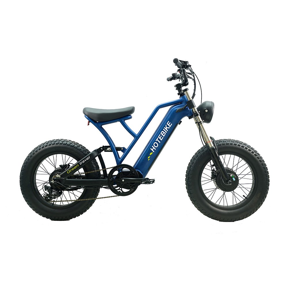Factory direct electric city bike 20 inch 48v electric bike long seat fat tire 7 speed fatbike electric bike