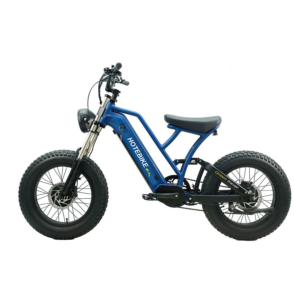 Factory direct electric city bike 20 inch 48v electric bike long seat fat tire 7 speed fatbike electric bike