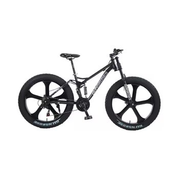 Customizable 26-Inch Fat Bike Cruiser Snow Mountain Fat Tyer Cycle Bicycle with 21 Speed Gears
