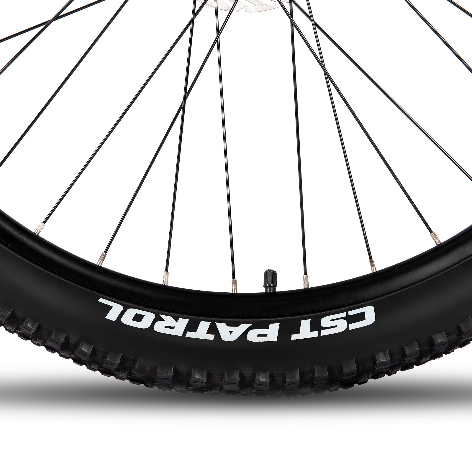 JOYKIE EU warehouse 21 speed 250w 36v 10.4Ah Lithium Battery Disc Brake Rear Hub Motor electric mountain bikes