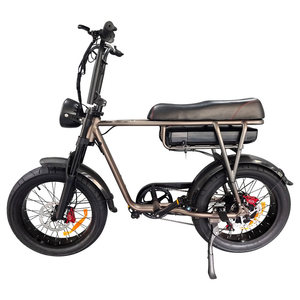 EU NL Regulation T6 Electric Fat Bike 250W Hydraulic 20inch Electric Bike 18.2Ah ebike Fat Tire Mountain E-bike