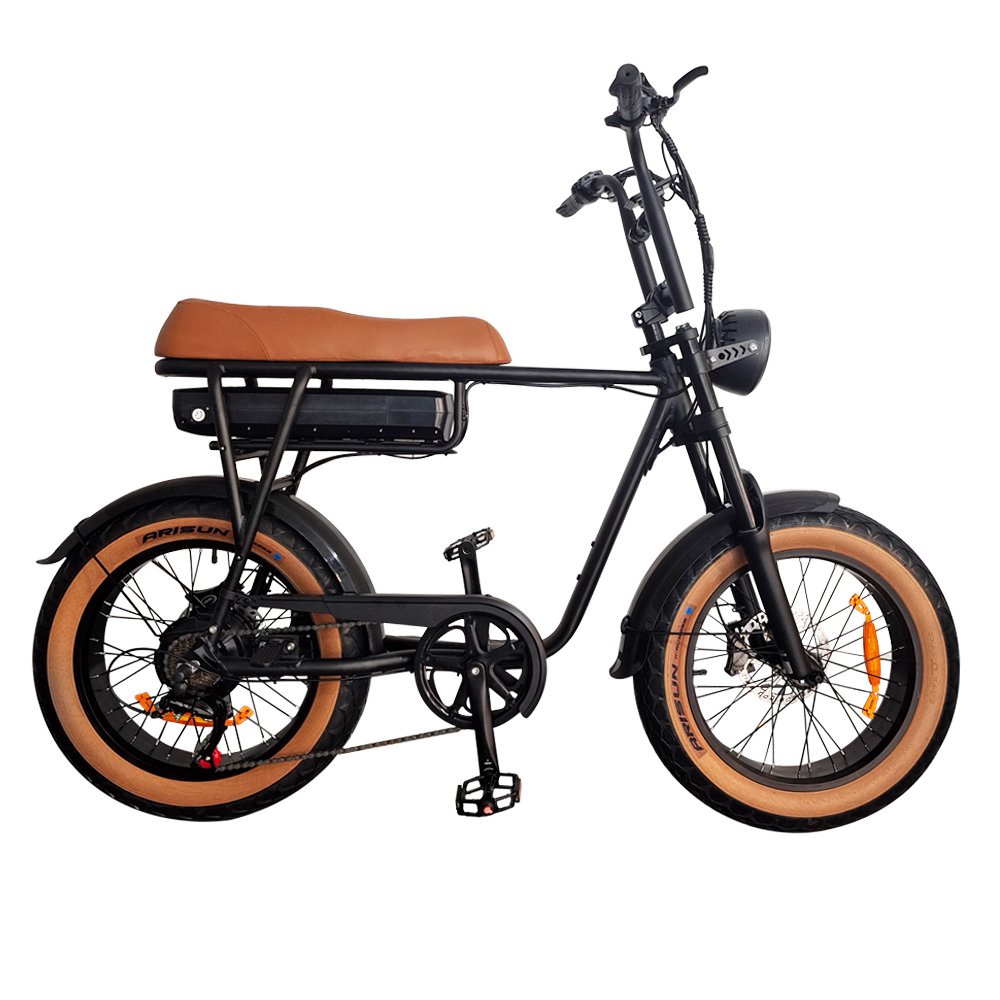 EU NL Regulation T6 Electric Fat Bike 250W Hydraulic 20inch Electric Bike 18.2Ah ebike Fat Tire Mountain E-bike