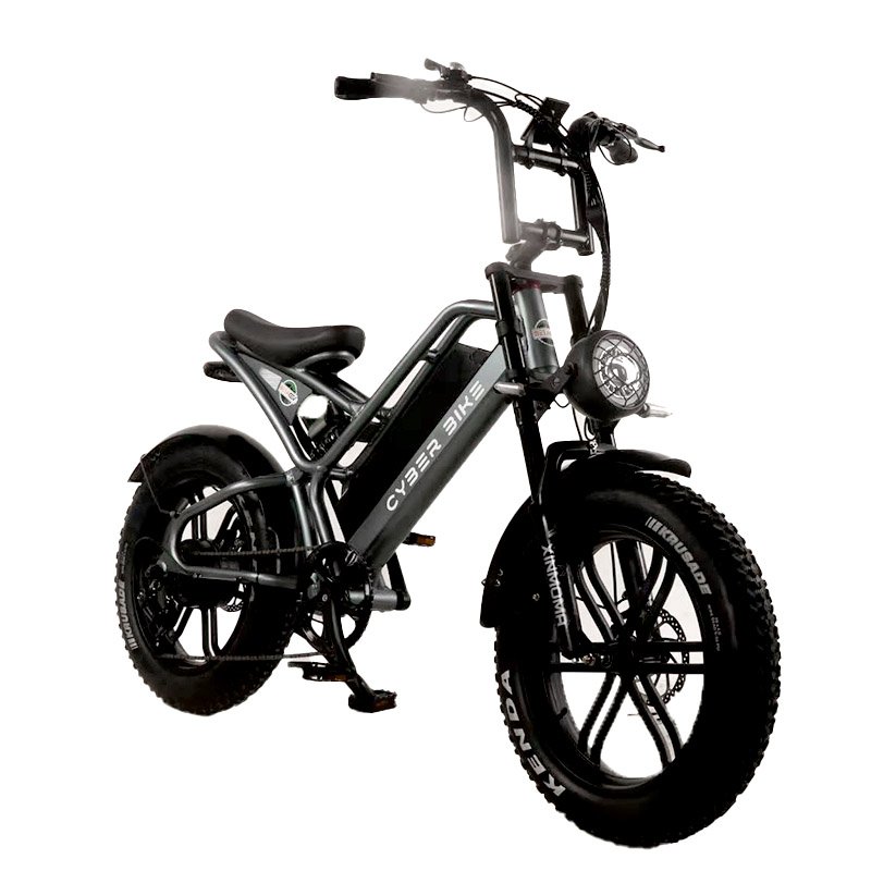 Electric city bike with 20 inch fat tires high quality 48v20ah and hot electric bike lithium battery Adlt Ebike Aluminou alloy