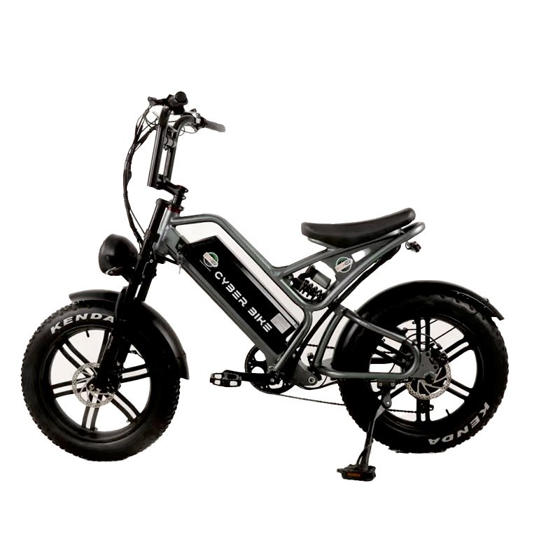 Electric city bike with 20 inch fat tires high quality 48v20ah and hot electric bike lithium battery Adlt Ebike Aluminou alloy