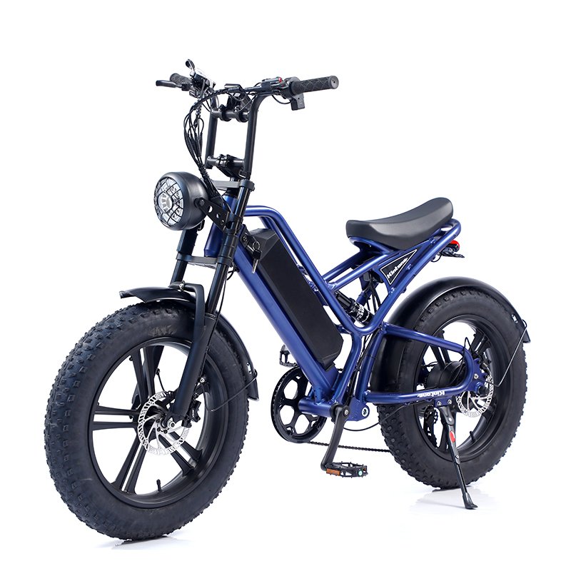Electric city bike with 20 inch fat tires high quality 48v20ah and hot electric bike lithium battery Adlt Ebike Aluminou alloy