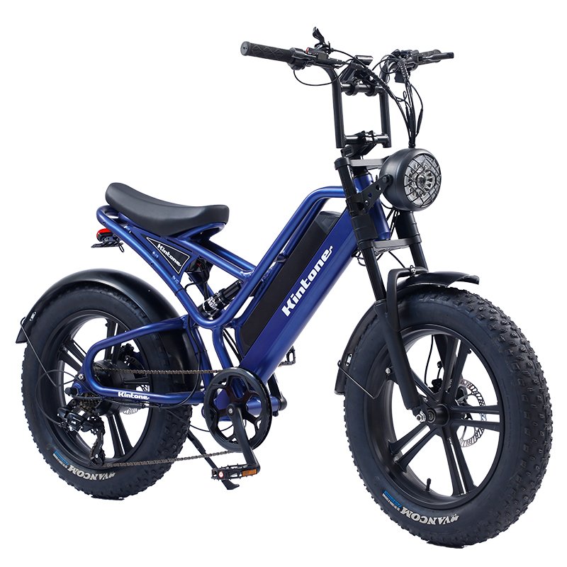 Electric city bike with 20 inch fat tires high quality 48v20ah and hot electric bike lithium battery Adlt Ebike Aluminou alloy