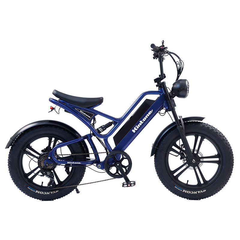 Electric city bike with 20 inch fat tires high quality 48v20ah and hot electric bike lithium battery Adlt Ebike Aluminou alloy