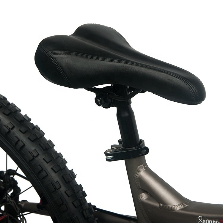 customized 27.5 29 mtb bike 26 inch mountain bike for man mountain bike 29er High carbon steel aluminum alloy mtb bicycle