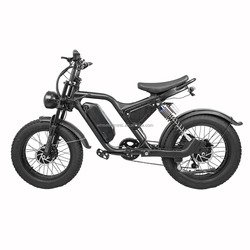 500W*2