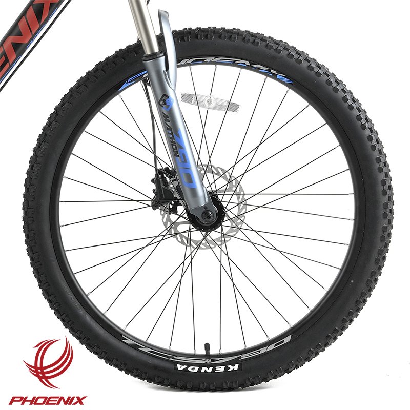 Phoenix 26 L Two 10 Speed Bicycle Aluminum Alloy Mountain Bicycle Hydraulic Brake Off Road Bicycle