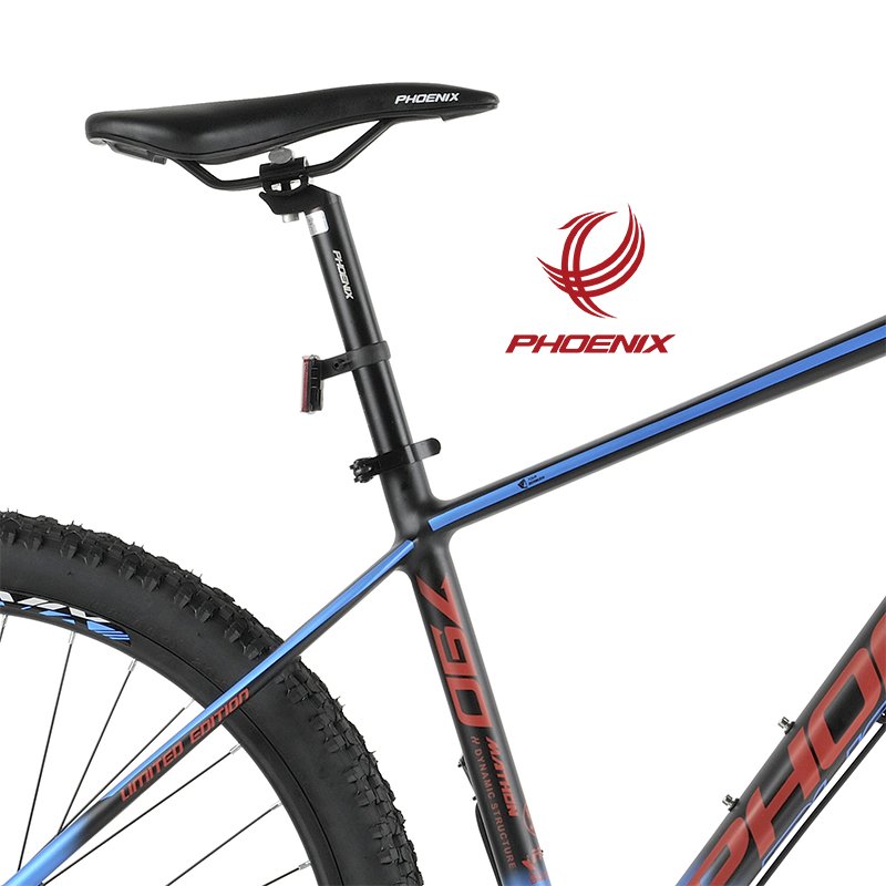 Phoenix 26 L Two 10 Speed Bicycle Aluminum Alloy Mountain Bicycle Hydraulic Brake Off Road Bicycle