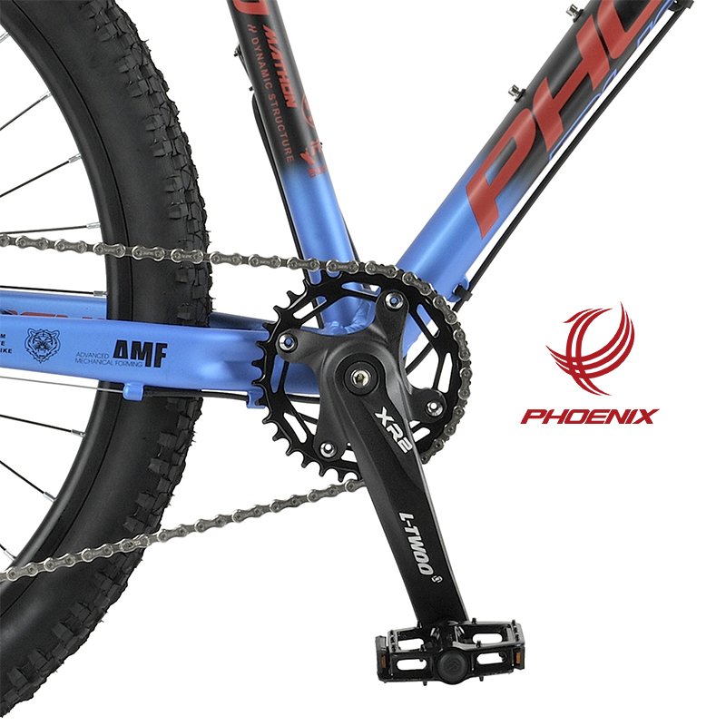 Phoenix 26 L Two 10 Speed Bicycle Aluminum Alloy Mountain Bicycle Hydraulic Brake Off Road Bicycle