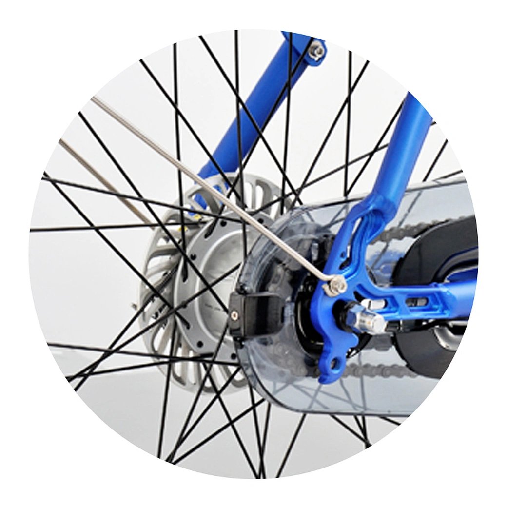 Cheap Wholesale Electric City Bike Electric Bicycle for Adult Two-wheeled Motorcycle