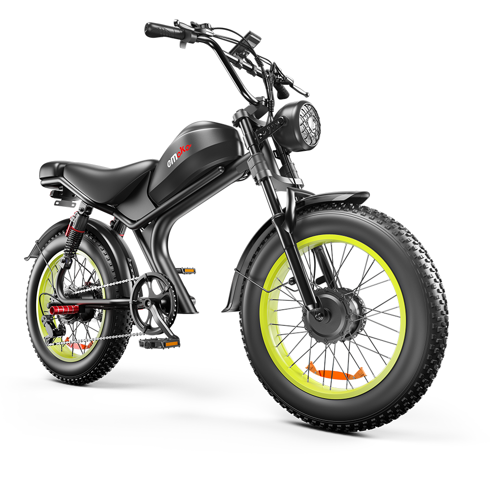 Dual Motor 2000W 23Ah Fat Tire Offroad Ebike Motorcycle C93 Hydraulic Oil Brake Fast Electric Bicycle