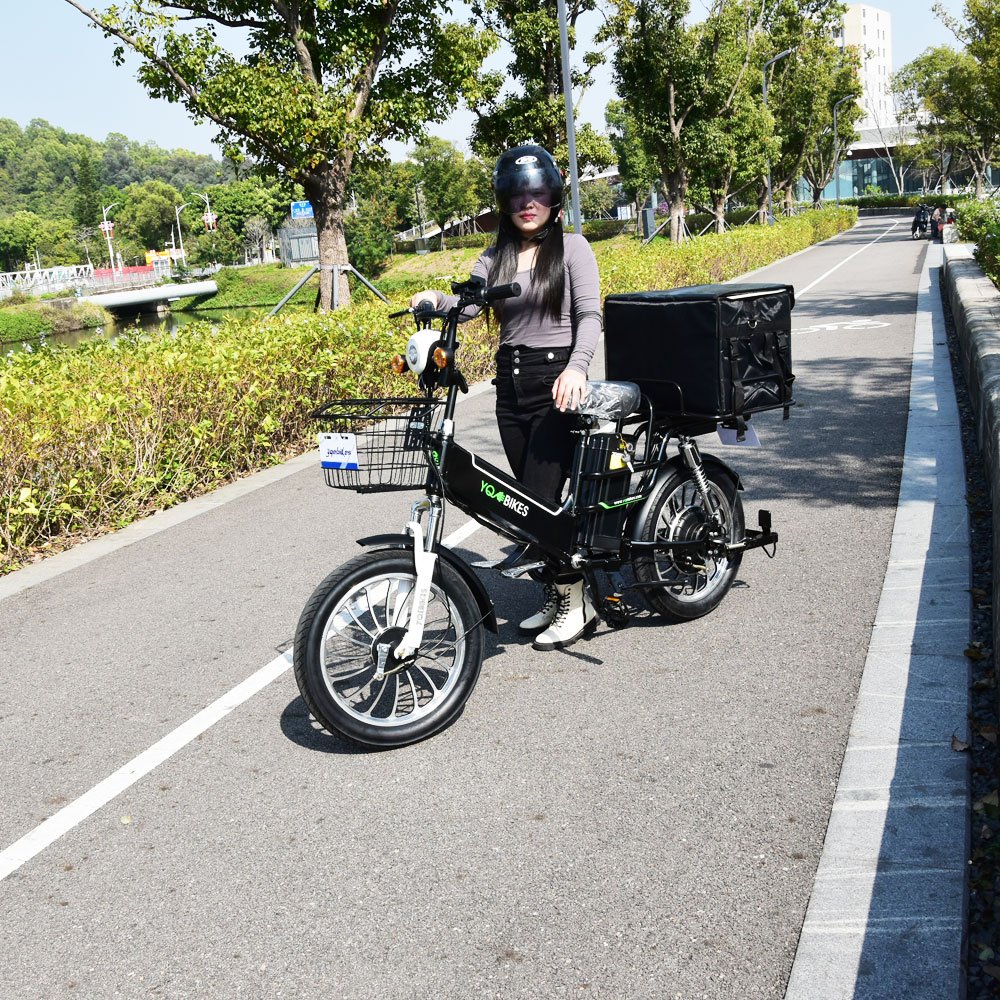 >100km 48V20ah 30ah Takeaway E-bike 20'*3.0 tire Full Suspension City Ride Cargo Family Electric Food Delivery Bike YQEBIKES