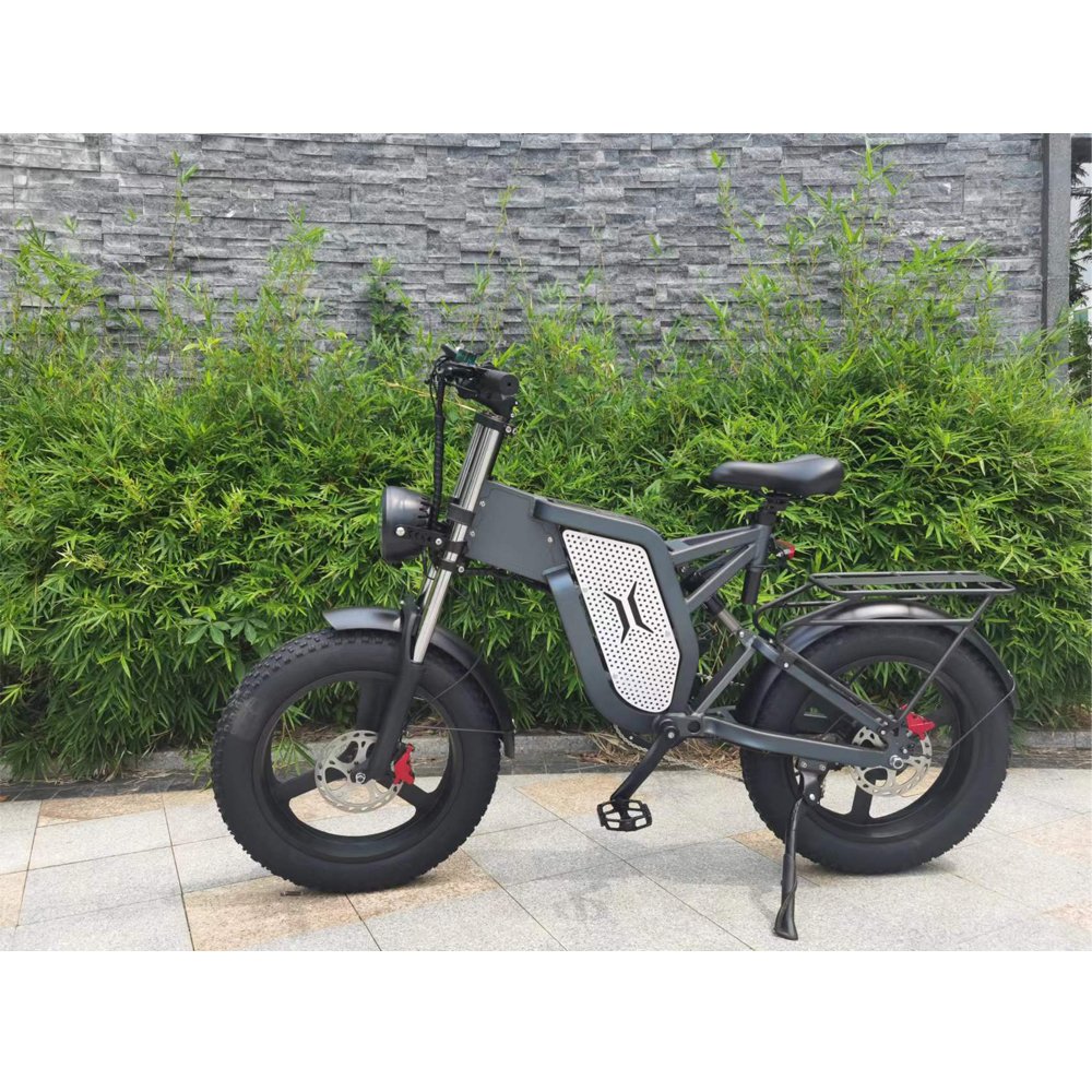 EU USA warehouse 48v 2000W 55 km/h X20 aluminum frame lithium battery rear hub motor electric mountain bike