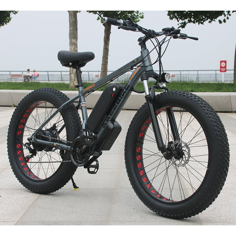 2024 New Alloy Fat Tire Electric Bike 750W 48V Long Range 26 Inch Fat Tire Electric Mountain Bicycle For Sale