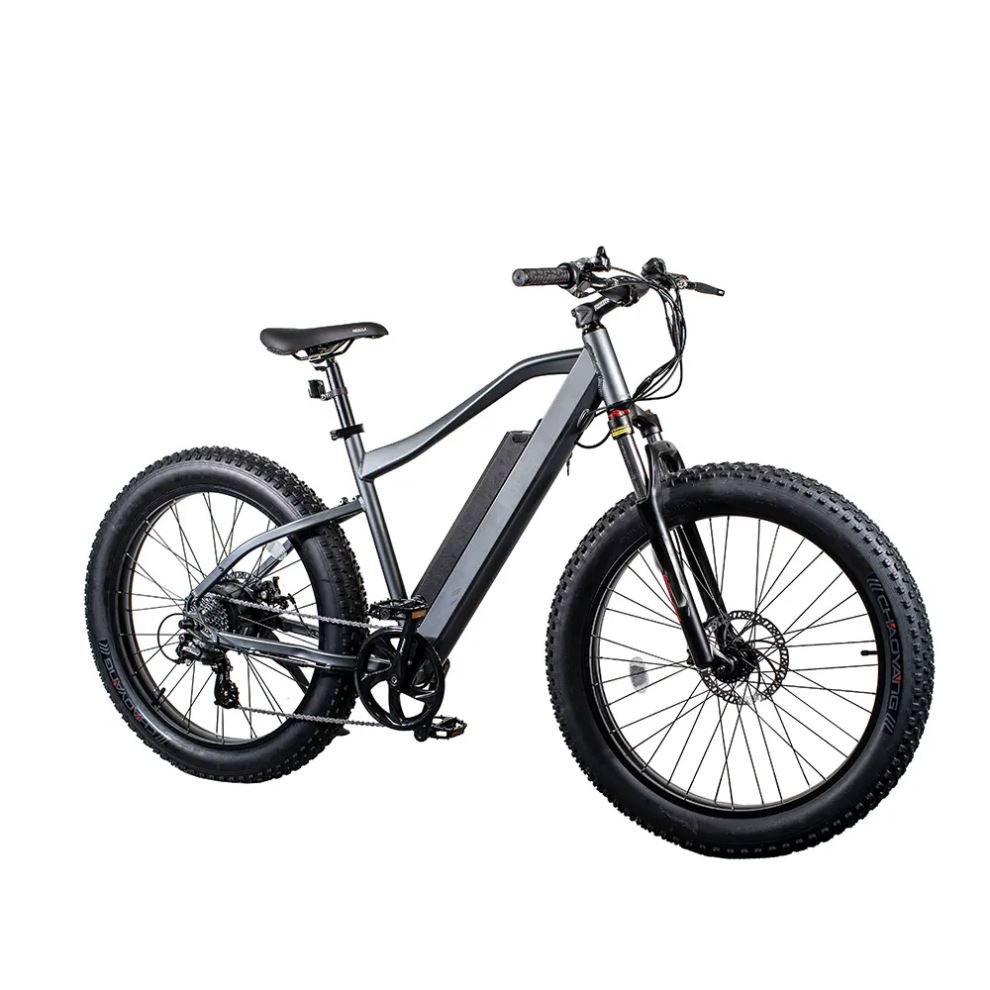 Factory Direct Sale 48V 16Ah 1000W Electric Bike Fat Tire Electric Mountain Bike