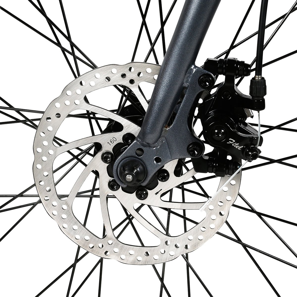 Customized 350W 700C 36V road style with SAMEBIKE APP Electric city bike