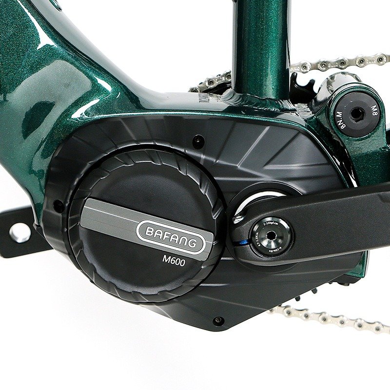 12-Speed 48V 15Ah Bafang Center-mounted motor M600 19 Inch Electric Mountain Bike with High Capacity Central Motor Battery