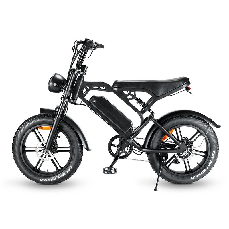Factory Direct 20x4.0 Inch Fat Tire E-Bike Full Suspension Electric Mountain Bike 750W Motor Power 48V 15ah Lithium Steel