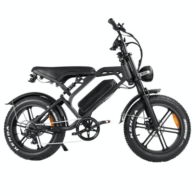 Factory Direct 20x4.0 Inch Fat Tire E-Bike Full Suspension Electric Mountain Bike 750W Motor Power 48V 15ah Lithium Steel