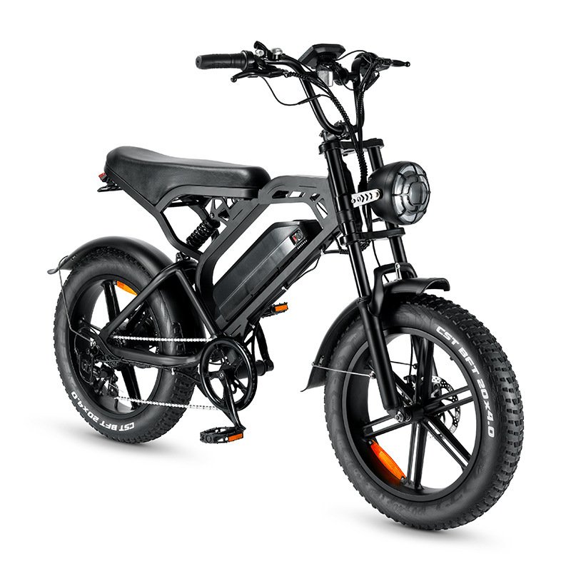 Factory Direct 20x4.0 Inch Fat Tire E-Bike Full Suspension Electric Mountain Bike 750W Motor Power 48V 15ah Lithium Steel