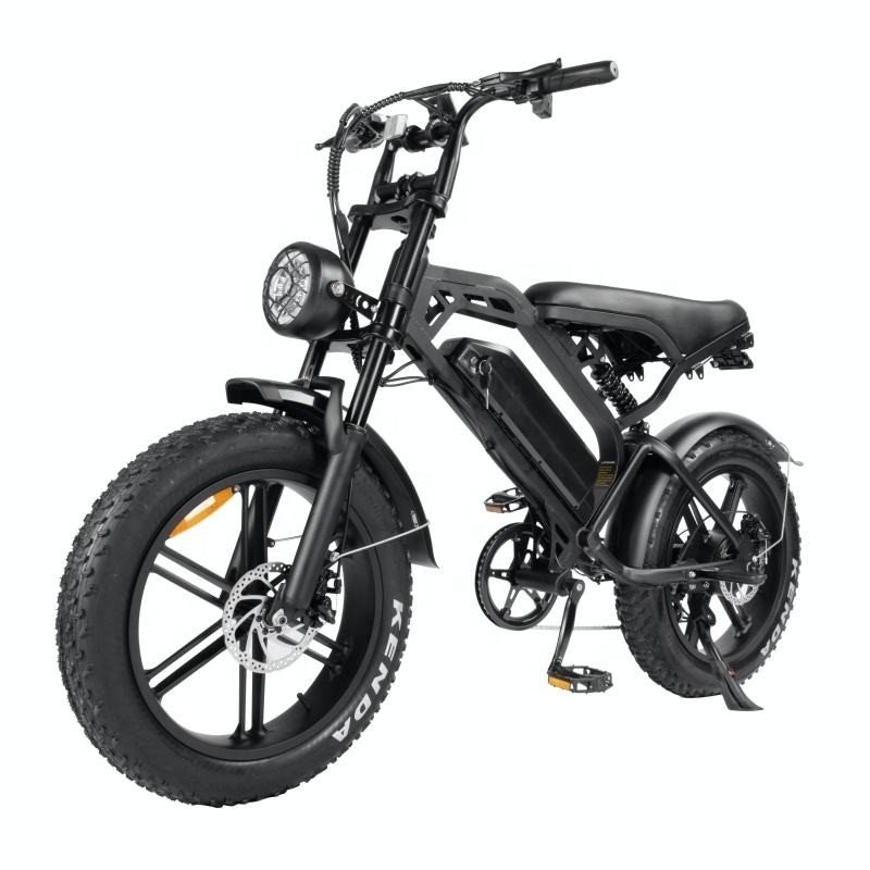 Factory Direct 20x4.0 Inch Fat Tire E-Bike Full Suspension Electric Mountain Bike 750W Motor Power 48V 15ah Lithium Steel
