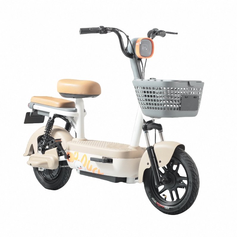 Electric mountain bikes cheap and fast transportation electric motorcycles and electric bicycle factories