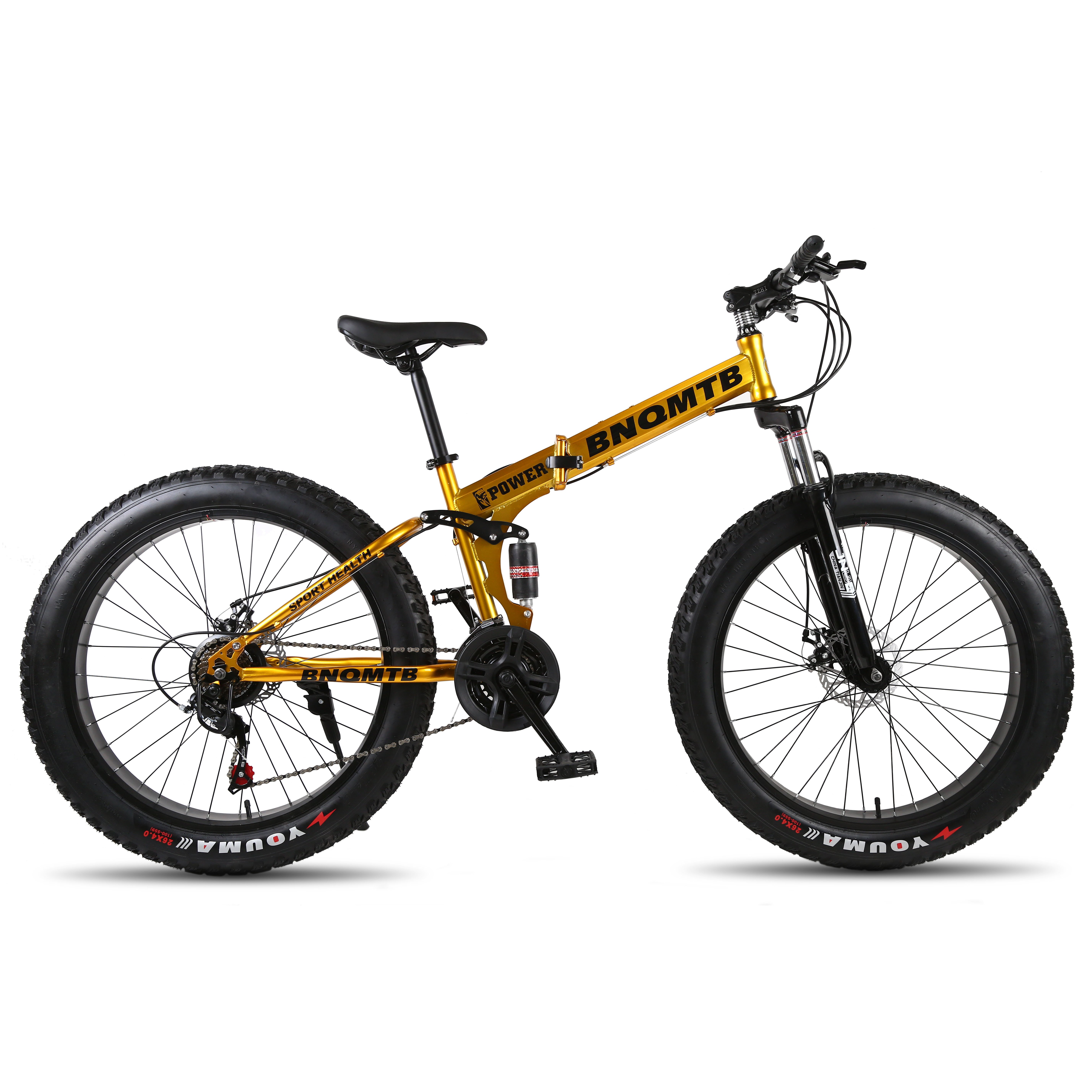 Adult Road Frame Electric Bicycle with Carbon Rim Folding Fat Tire EBike Cheap Price Mountain Bike with Foldable Feature