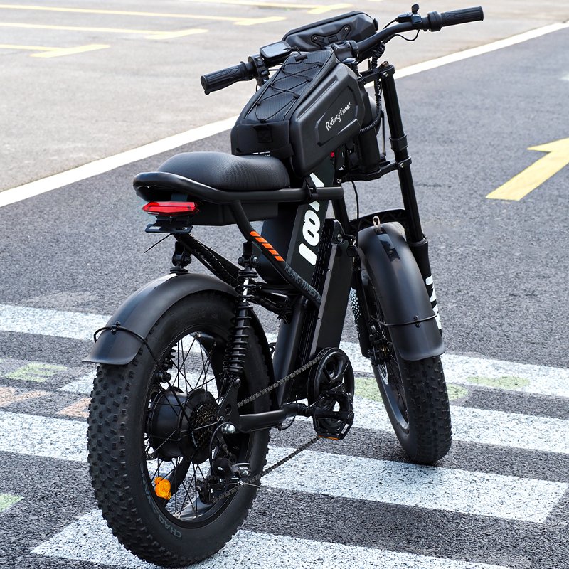 Long Range Electric Bikes Hydraulic Disc Brake 1000W With Dual Single Rear Hub 750W E Bike Mountain Electric Bikes For Adults