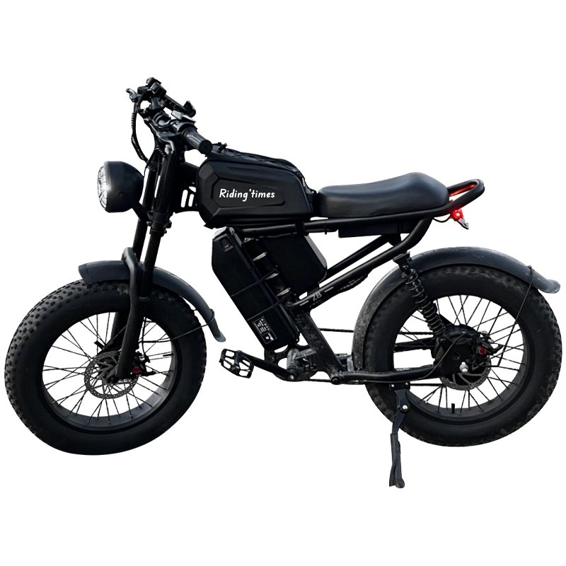 Long Range Electric Bikes Hydraulic Disc Brake 1000W With Dual Single Rear Hub 750W E Bike Mountain Electric Bikes For Adults