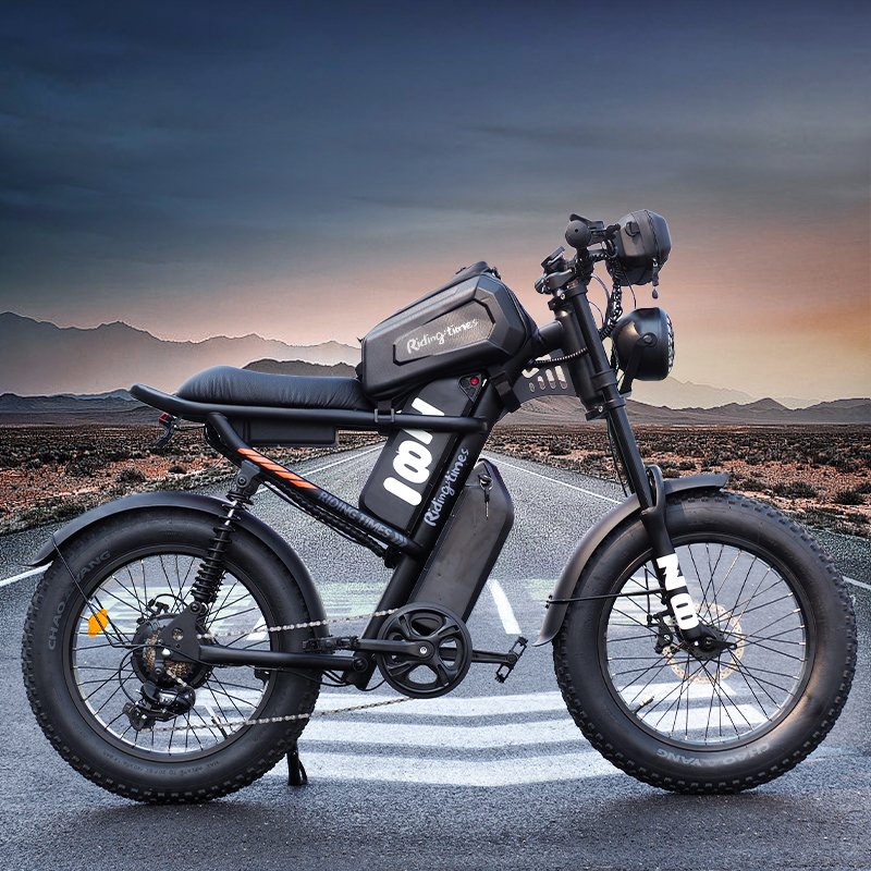 Long Range Electric Bikes Hydraulic Disc Brake 1000W With Dual Single Rear Hub 750W E Bike Mountain Electric Bikes For Adults