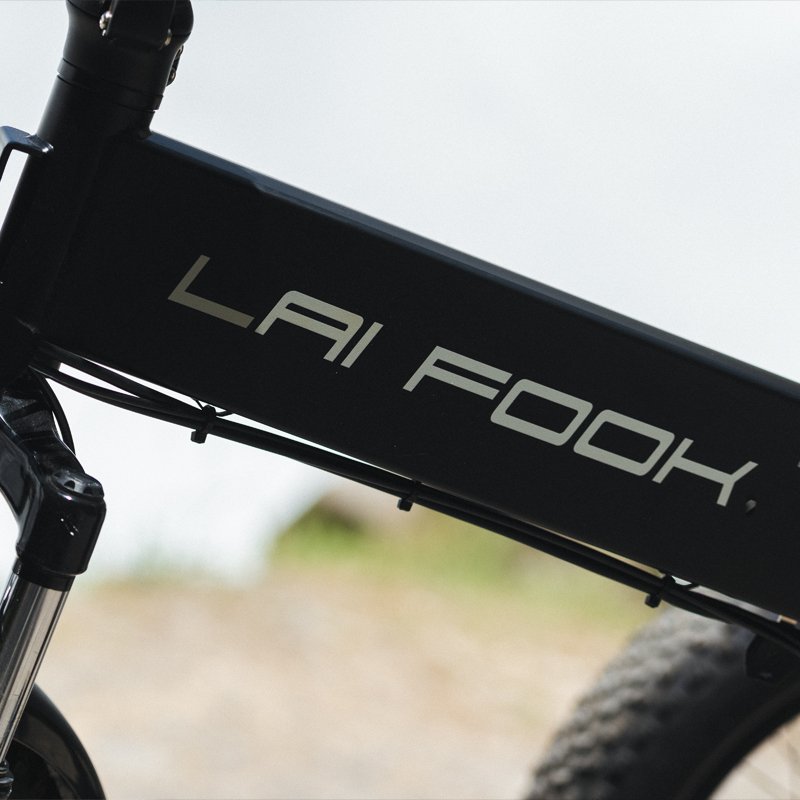 EU us stock full suspension foldable mountain ebike fat tire 48v 750w removable lithium battery aluminum hybrid electric bike