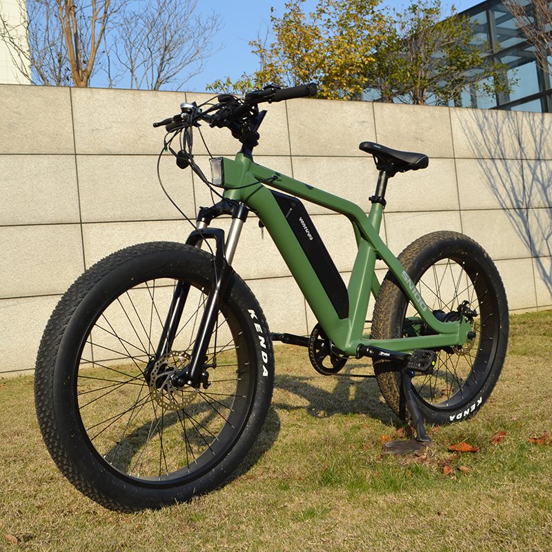 US Warehouse 26inch 250W 750W 36V 48V lithium battery 750w motor ebike fat tire electric bicycle MTB