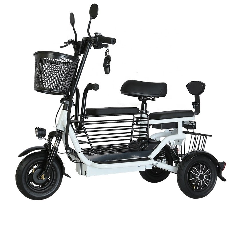 48V 8Ah 12 inch mini electric bicycle for pet cat dog folding portable electric city bike