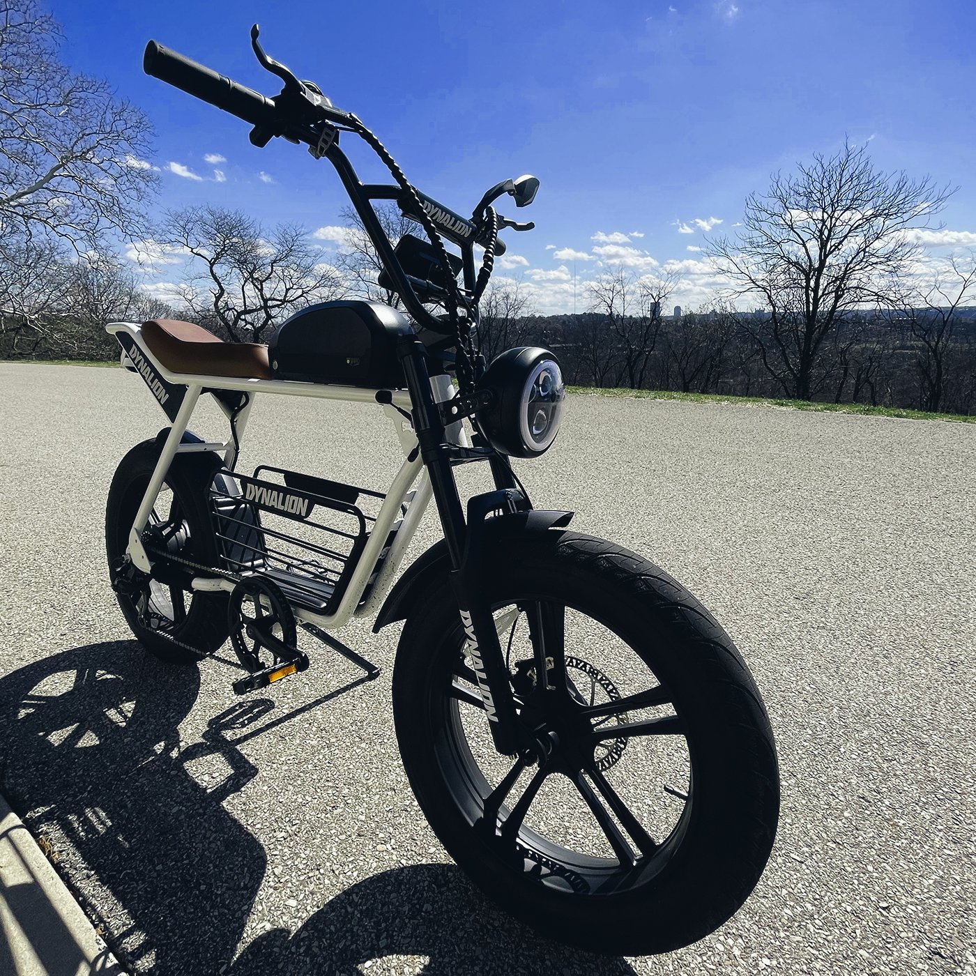 48v 1000w Emtb Retro Electric Hybrid Bike E-Bike Road Dirt E Bike Ebike Mountain Fat Tire Electric Bike