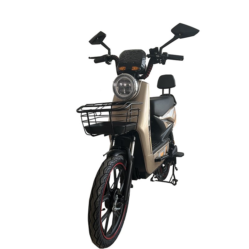High Quality 1000W & 500W Electric City Bike with 20 Inch Mens Fat Tire Beach Cruiser Ebike Scooter