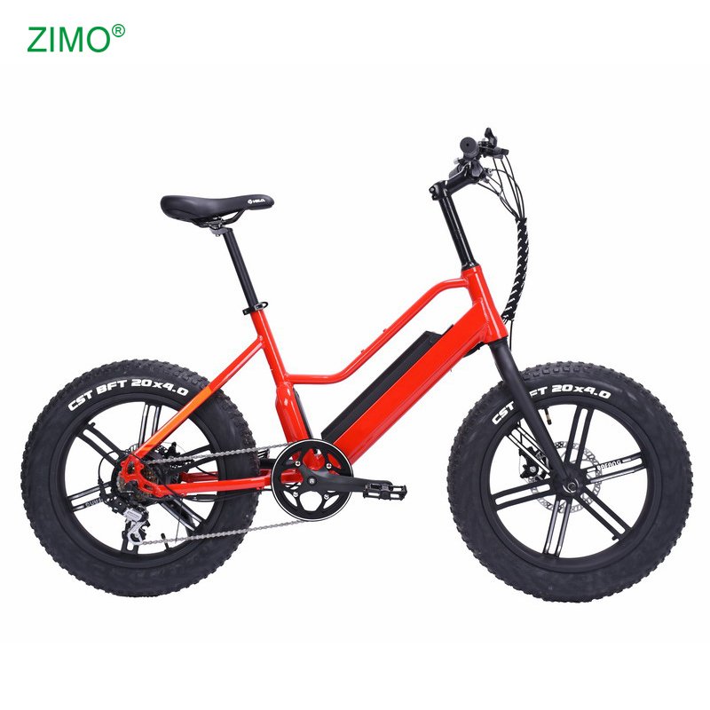 2024 New 48v 500w Sport Pedal Assist Fat Tire Electric City Fat Bike, Cheap Fat Tire Electric Bicycle for Sale