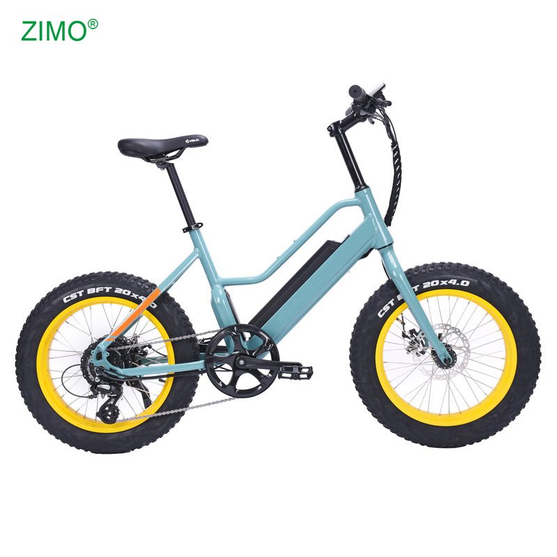 2024 New 48v 500w Sport Pedal Assist Fat Tire Electric City Fat Bike, Cheap Fat Tire Electric Bicycle for Sale