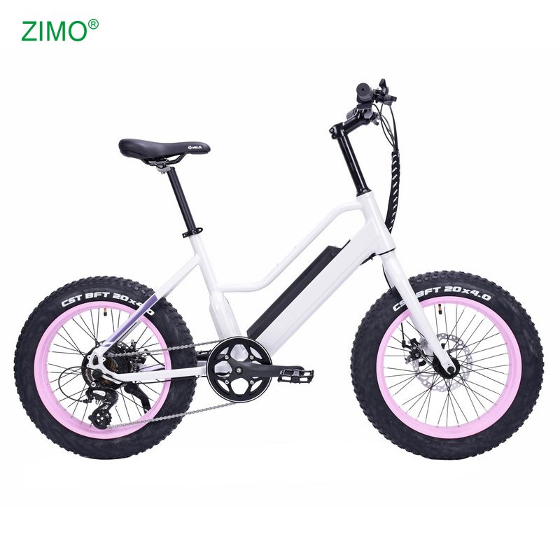 2024 New 48v 500w Sport Pedal Assist Fat Tire Electric City Fat Bike, Cheap Fat Tire Electric Bicycle for Sale