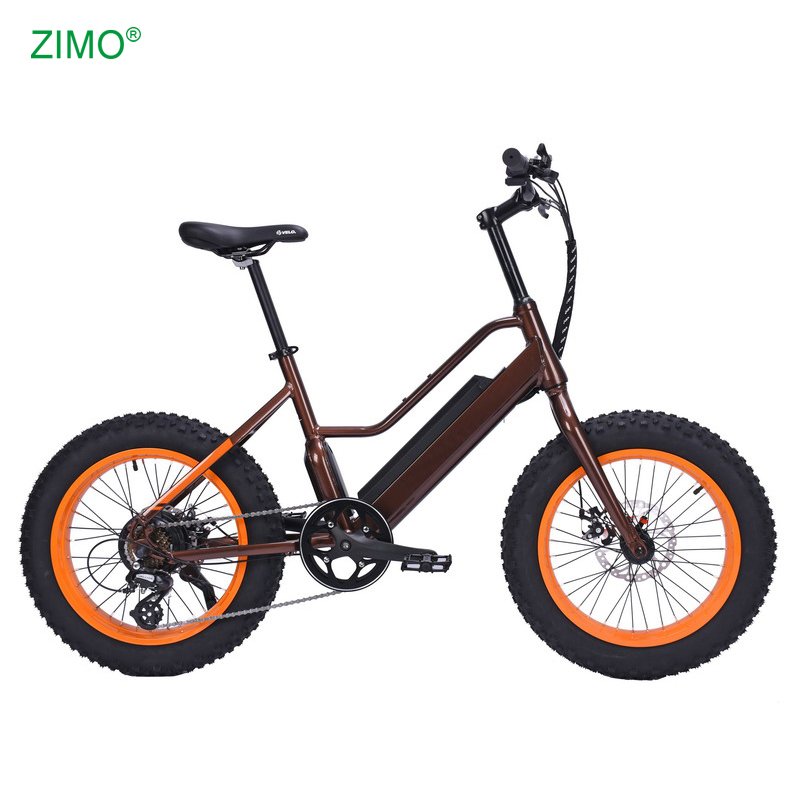 2024 New 48v 500w Sport Pedal Assist Fat Tire Electric City Fat Bike, Cheap Fat Tire Electric Bicycle for Sale