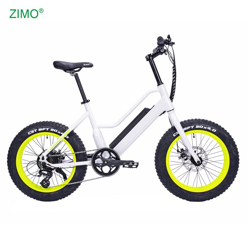 2024 New 48v 500w Sport Pedal Assist Fat Tire Electric City Fat Bike, Cheap Fat Tire Electric Bicycle for Sale