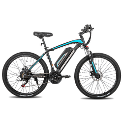 350W 29" with chinese motor