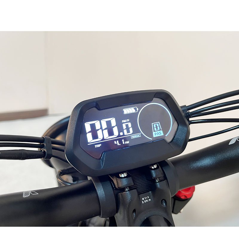 2023 24inch/24inch 250W/500W/750W/1000W Rear Motor Electronic Bicycle Fat Tire Beach/Snow Cycling