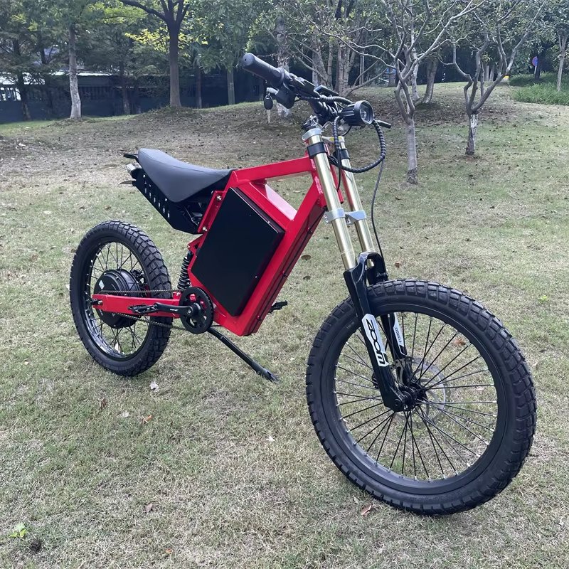 CS20 48V 3000 Watt Electric mountain bike aluminum frame electric bicycle ebike 2024 popular bike pitbike