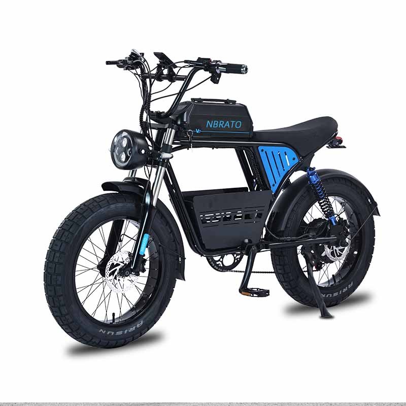 Ready for Shipment 20 4 0 Fat Tire Electric Mountain Bike Max 55kmh 1500W Promax Motor Wall Frame Power Battery