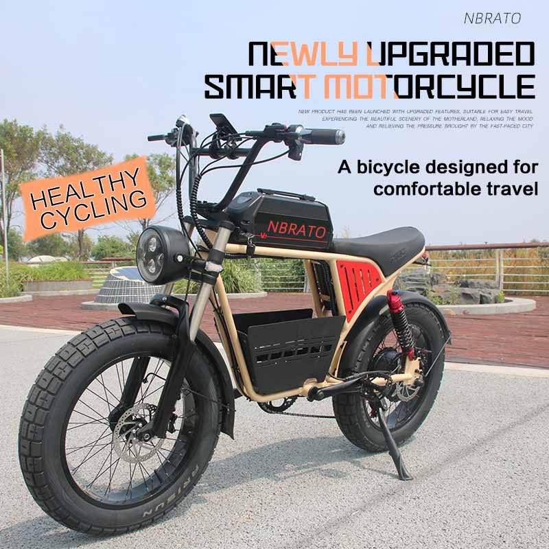 Ready for Shipment 20 4 0 Fat Tire Electric Mountain Bike Max 55kmh 1500W Promax Motor Wall Frame Power Battery