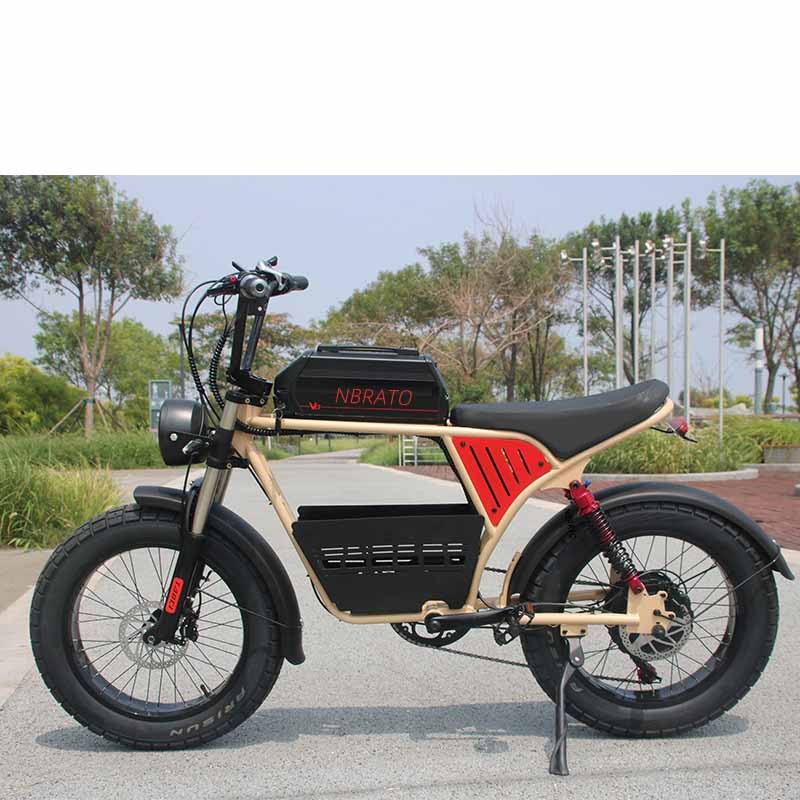 Ready for Shipment 20 4 0 Fat Tire Electric Mountain Bike Max 55kmh 1500W Promax Motor Wall Frame Power Battery