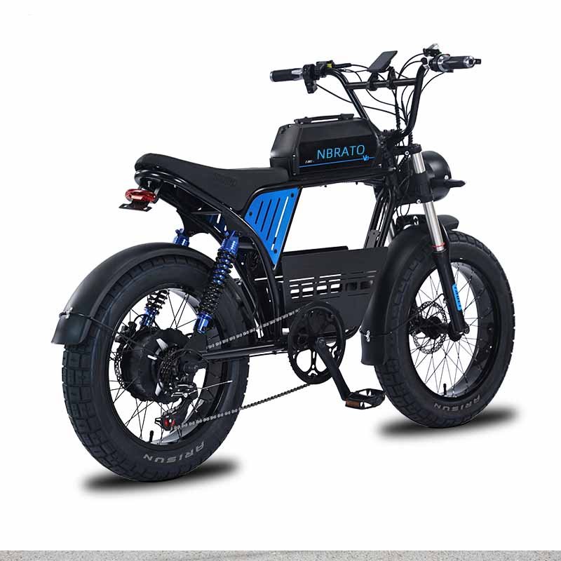 Ready for Shipment 20 4 0 Fat Tire Electric Mountain Bike Max 55kmh 1500W Promax Motor Wall Frame Power Battery